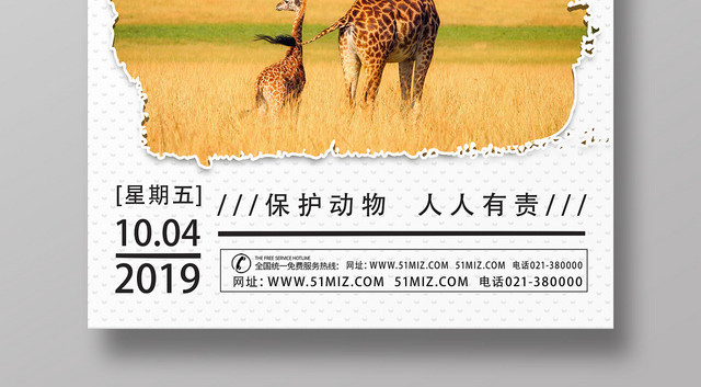 白色简洁世界动物日海报