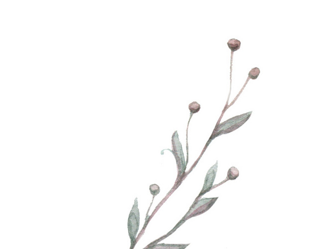 灰色带果子水彩手绘插画