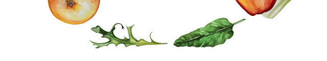 水彩手绘蔬果花圈插画