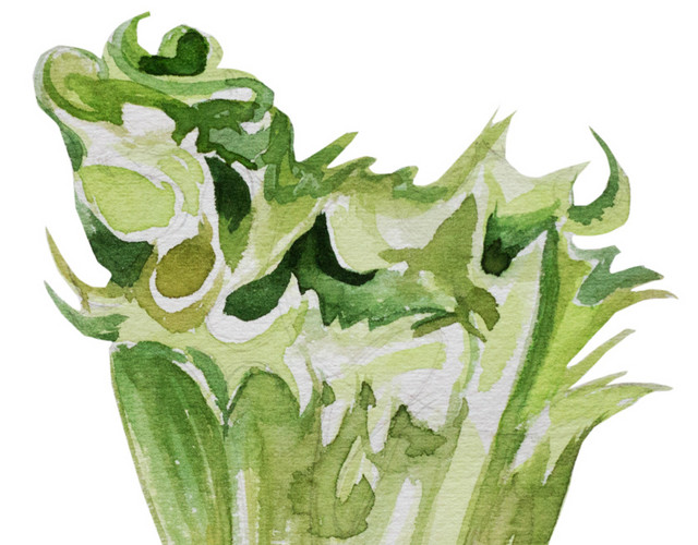 绿色蔬菜水彩手绘插画