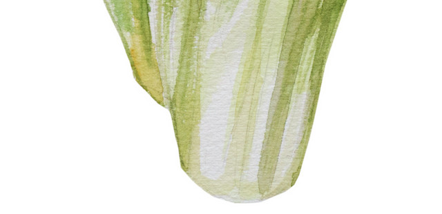 绿色蔬菜水彩手绘插画