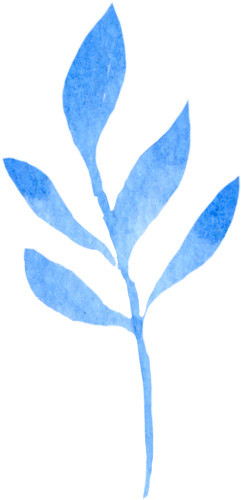 蓝色多片树叶植物水彩素材