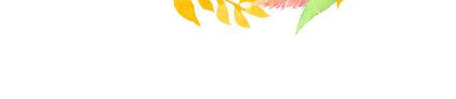 羽毛叶子花圈水彩素材