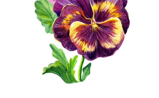 紫色竖行花簇装饰素材