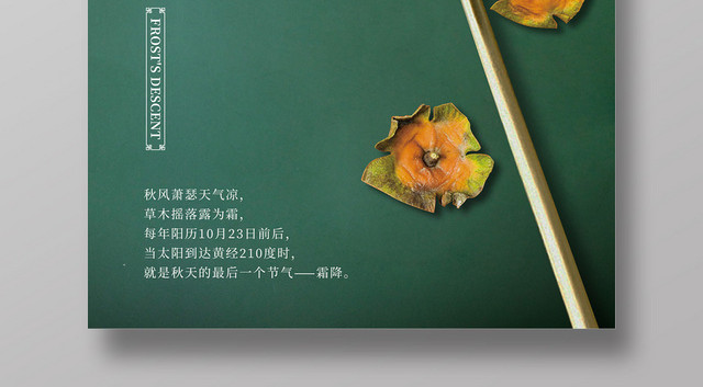 绿色简约柿子二十四节气霜降海报
