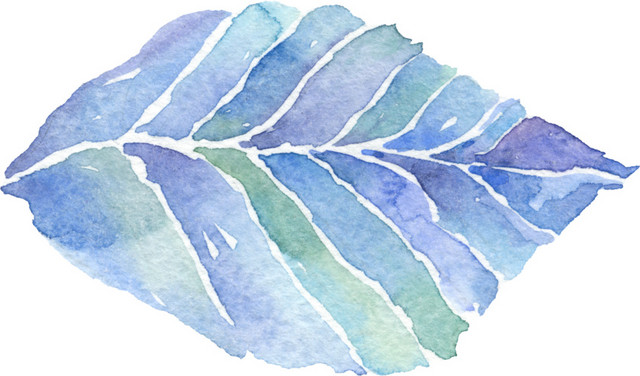 手绘蓝紫叶片