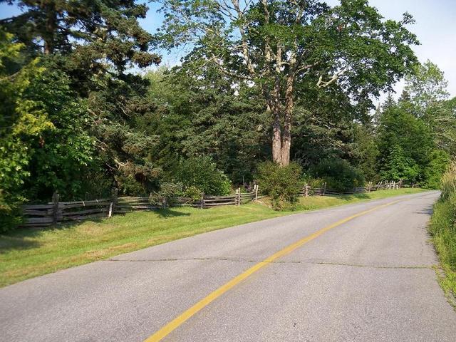 摄影唯美农村公路景色背景图片
