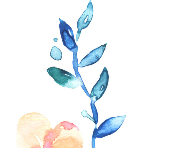水彩手绘花朵素材