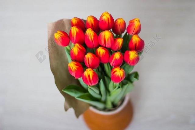 广告时尚郁金香花束背景图片