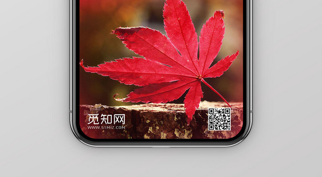 秋天你好落叶十月你好手机海报