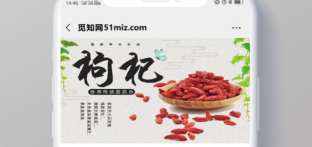 封面白色简洁枸杞世界传统医药日微信公众号首图