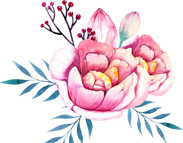 手绘彩铅花卉花束