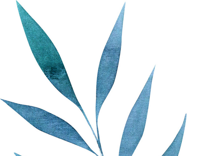 手绘彩铅花卉枝叶子