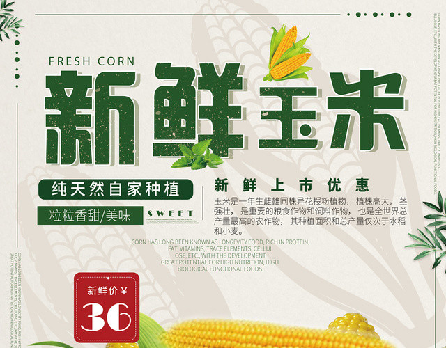绿色简约几何新鲜玉米宣传单页