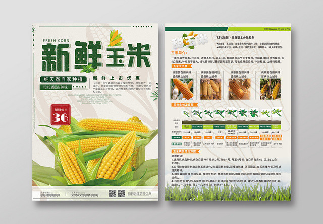 绿色简约几何新鲜玉米宣传单页