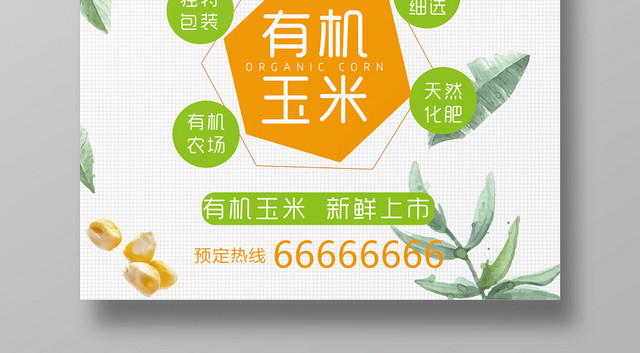 小清新健康有机玉米上市宣传海报模版