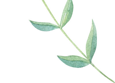 绿色手绘水草矢量图片