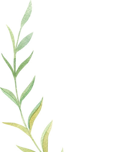 绿色手绘水草矢量图片