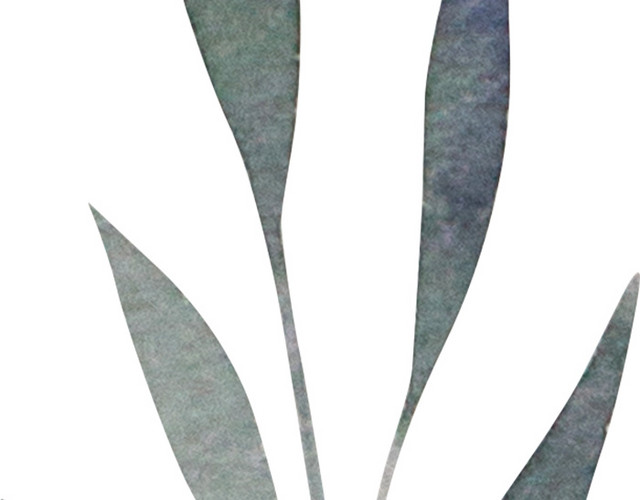 绿色手绘水草叶子矢量图片