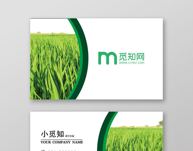 绿色简约玉米名片