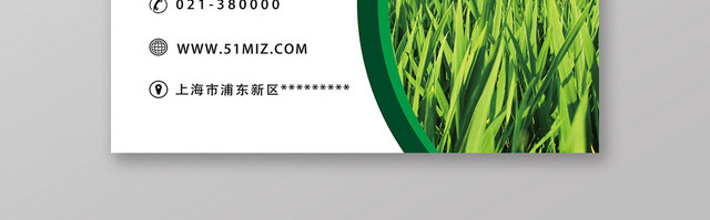 绿色简约玉米名片