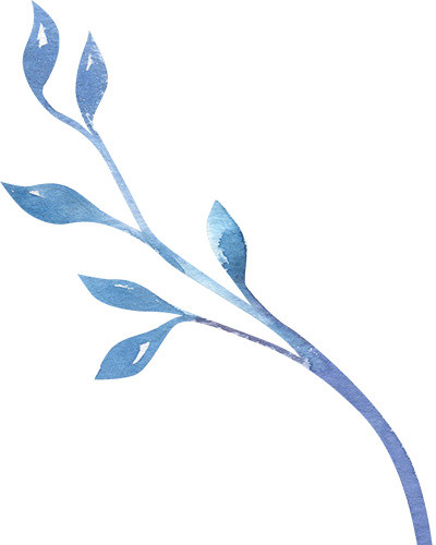 树枝树叶素材