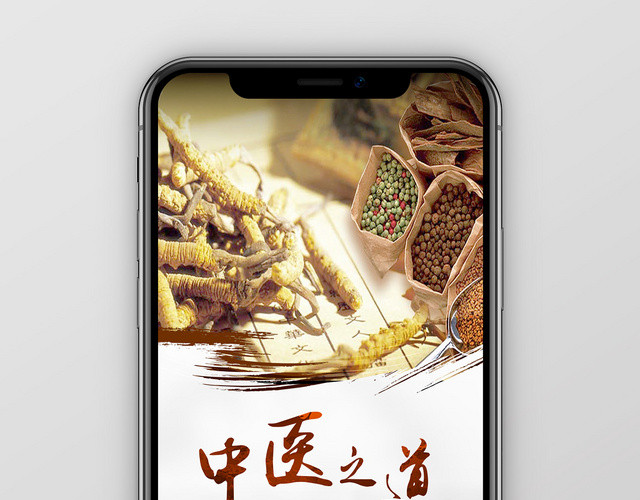 中医之道世界传统医药日手机海报