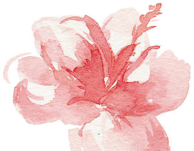 水彩花素材