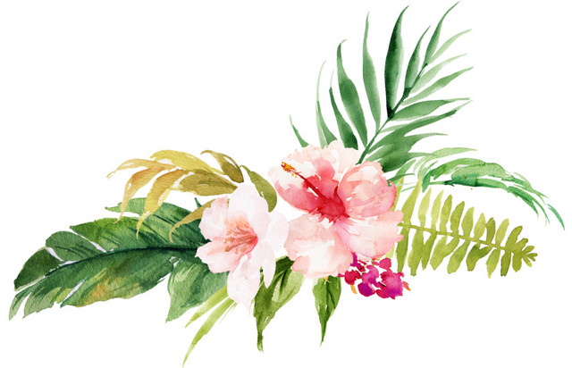 花儿叶子素材