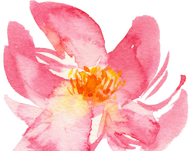 粉色花素材