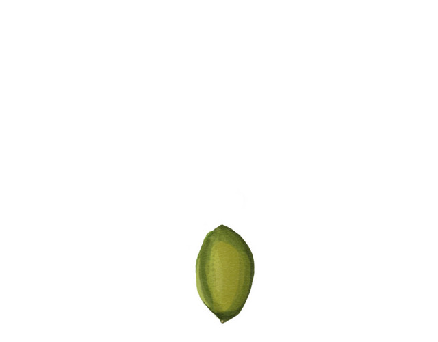 绿色橄榄素材
