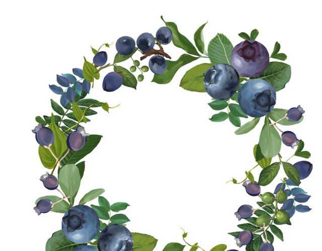 蓝莓叶子花环素材