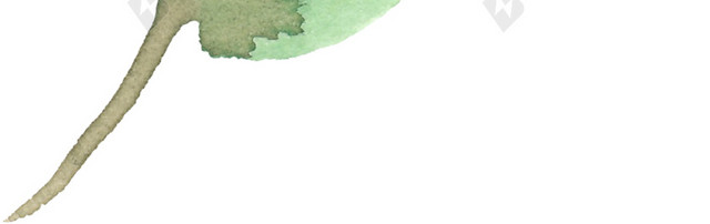 一朵花矢量素材