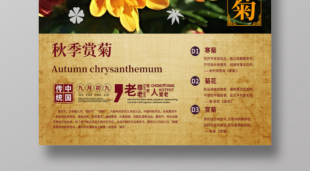 唯美重阳节温馨秋天赏菊海报设计