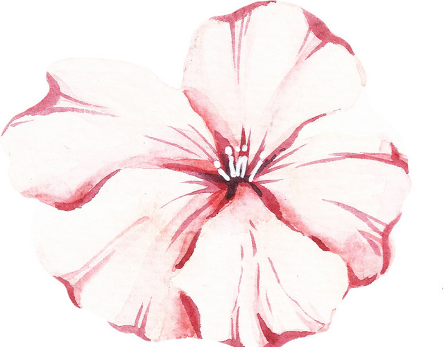 红色花矢量素材