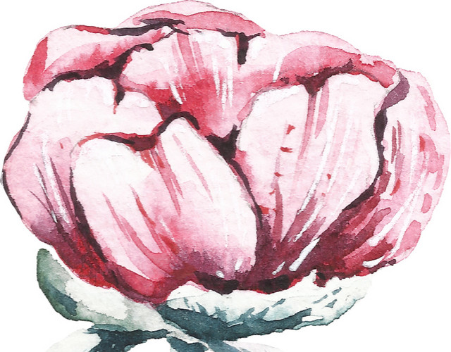 红色花矢量素材