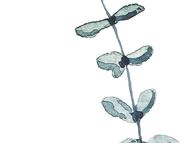 叶子矢量素材