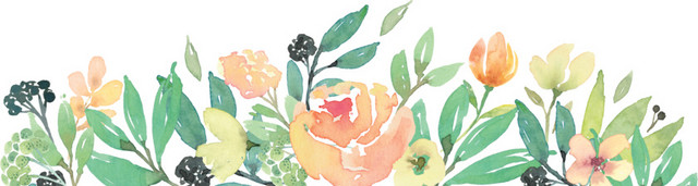 花边素材