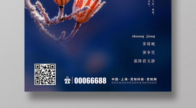 简约大气二十四节气霜降宣传海报