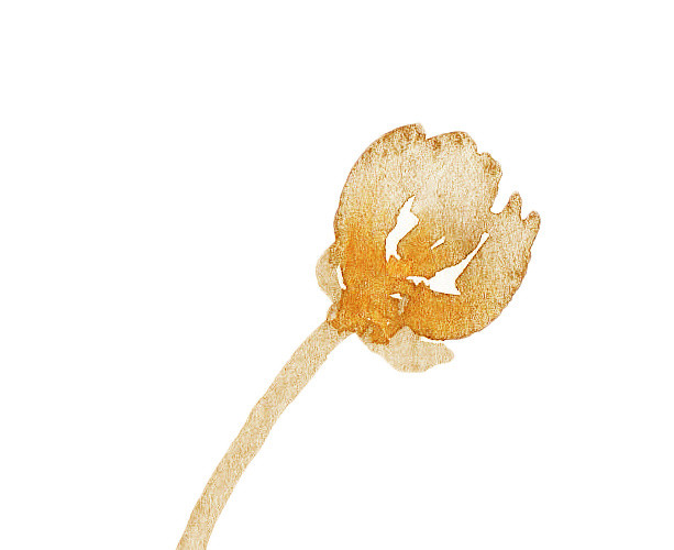 褐色小花矢量素材