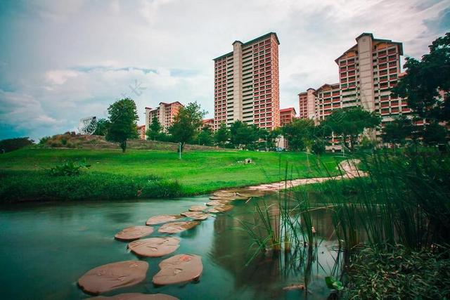 璧山 BISHANPARK 水 池 新加坡 自然 湖 公园