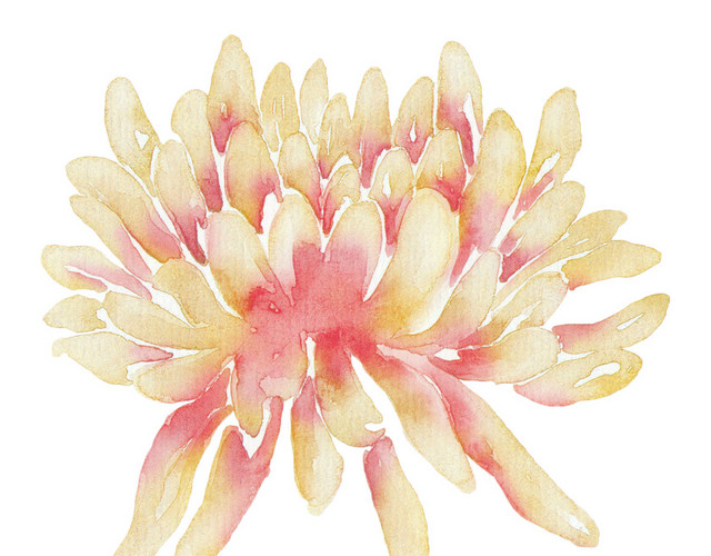 干花矢量素材