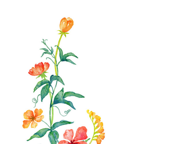 花边矢量素材