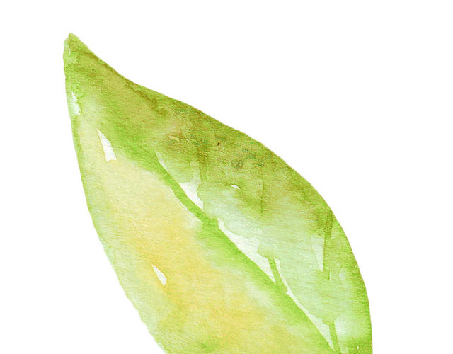 落叶矢量素材