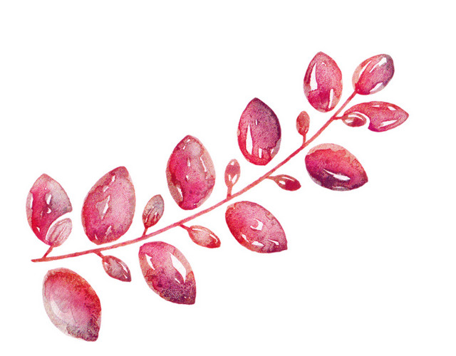 红色叶子矢量素材