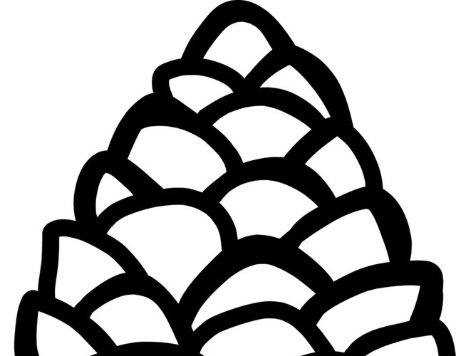 手绘黑白松果