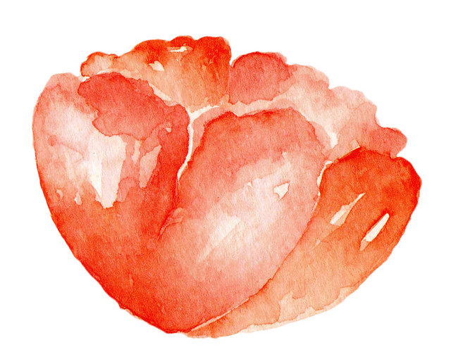 红色小花矢量素材
