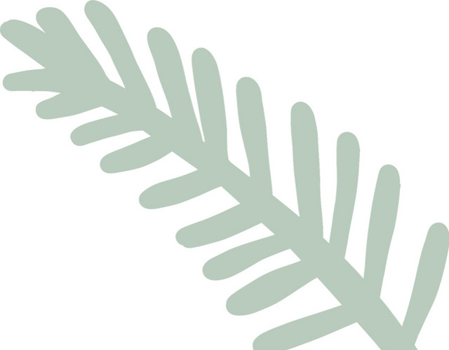 灰色植物儿童简笔画