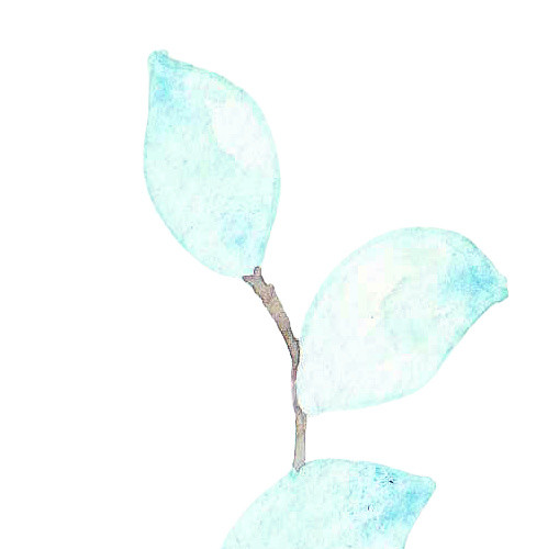 水蓝色叶子矢量素材