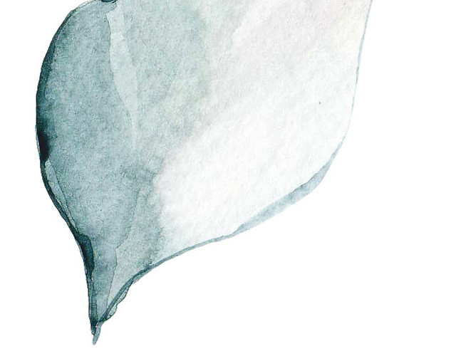 飘叶矢量素材